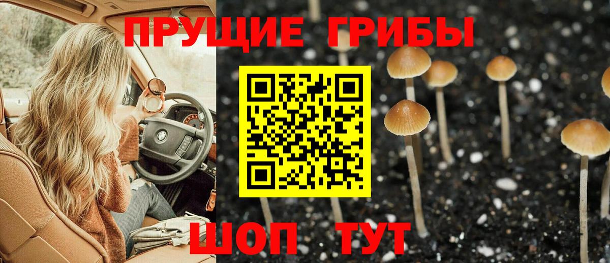 Псилоцибиновые грибы Cubensis Наро-Фоминск