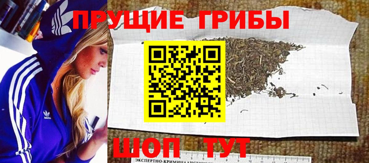 Наро-Фоминск  Псилоцибиновые грибы мицелий  Псилоцибиновые грибы мухоморы  Вход с VPN 